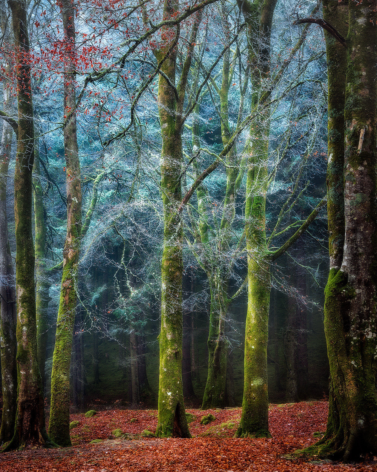 Into the Mystic