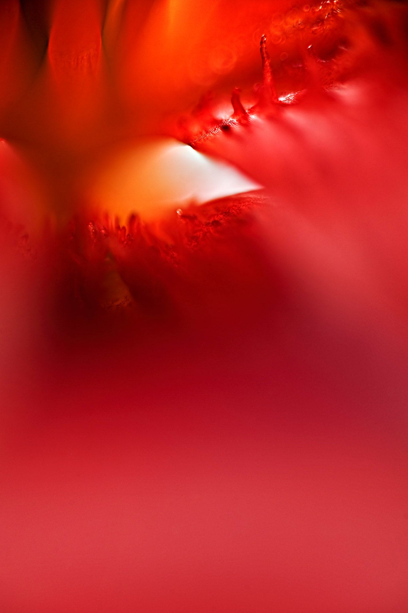 Envelop