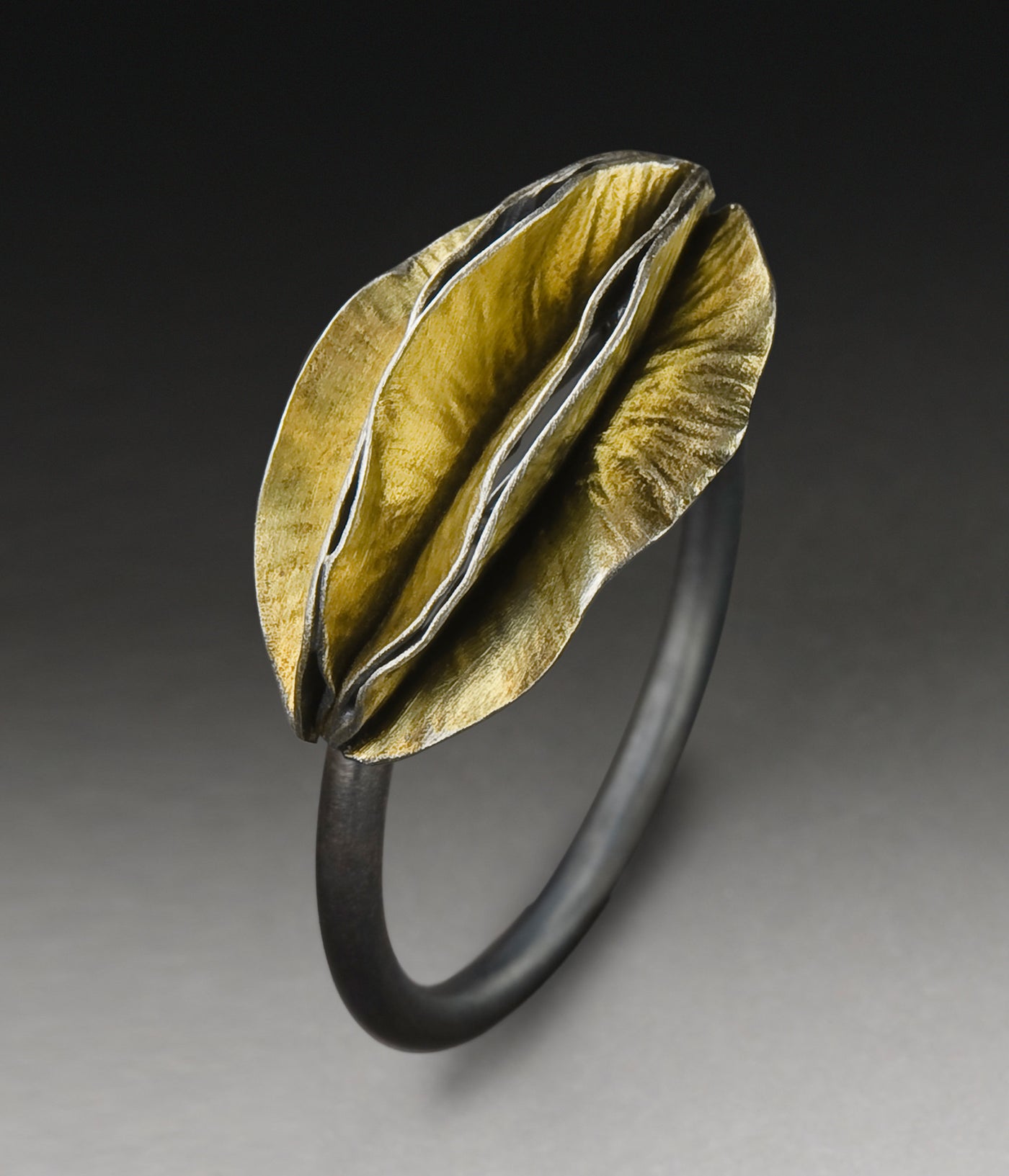 Cluster Ring