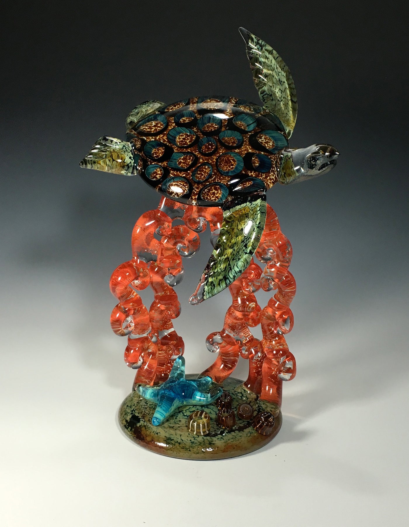 Amber Barnacle Turtle on Red Coral with Starfish