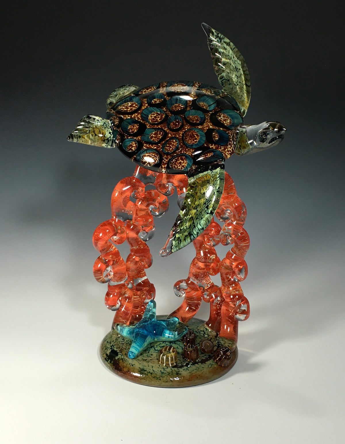 Amber Barnacle Turtle on Red Coral with Starfish