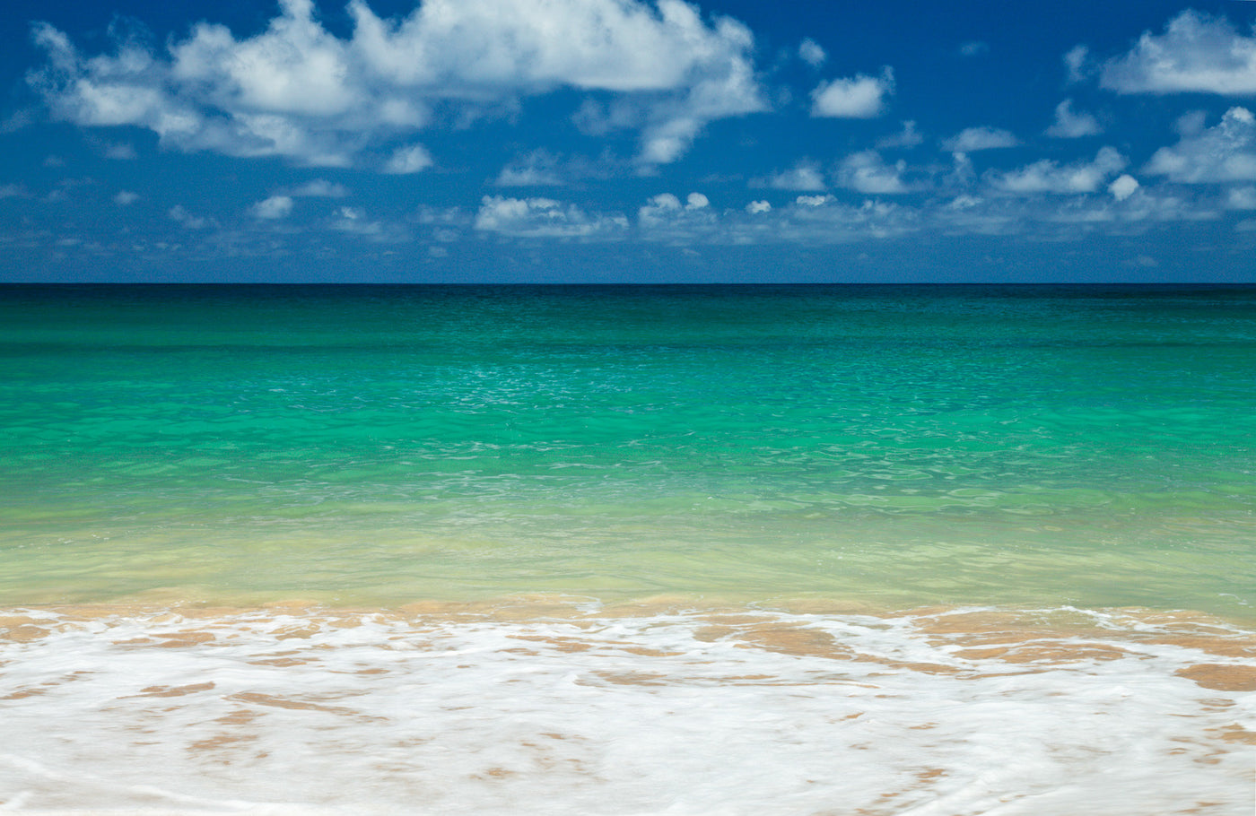 Tropical Splendor