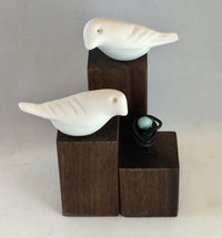 Nesting Birds