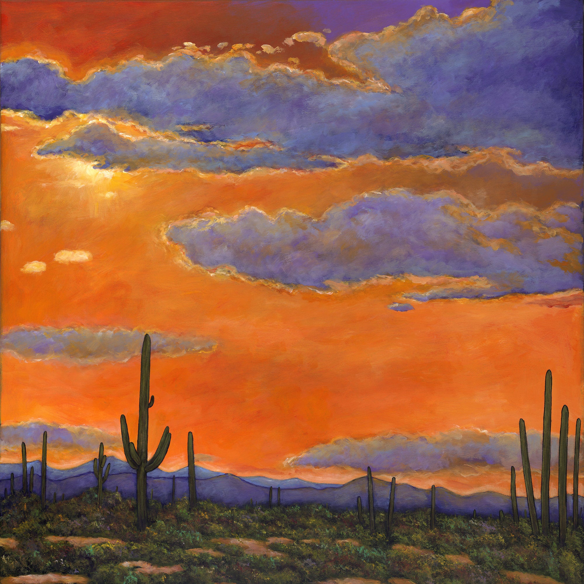 Saguaro Sunset