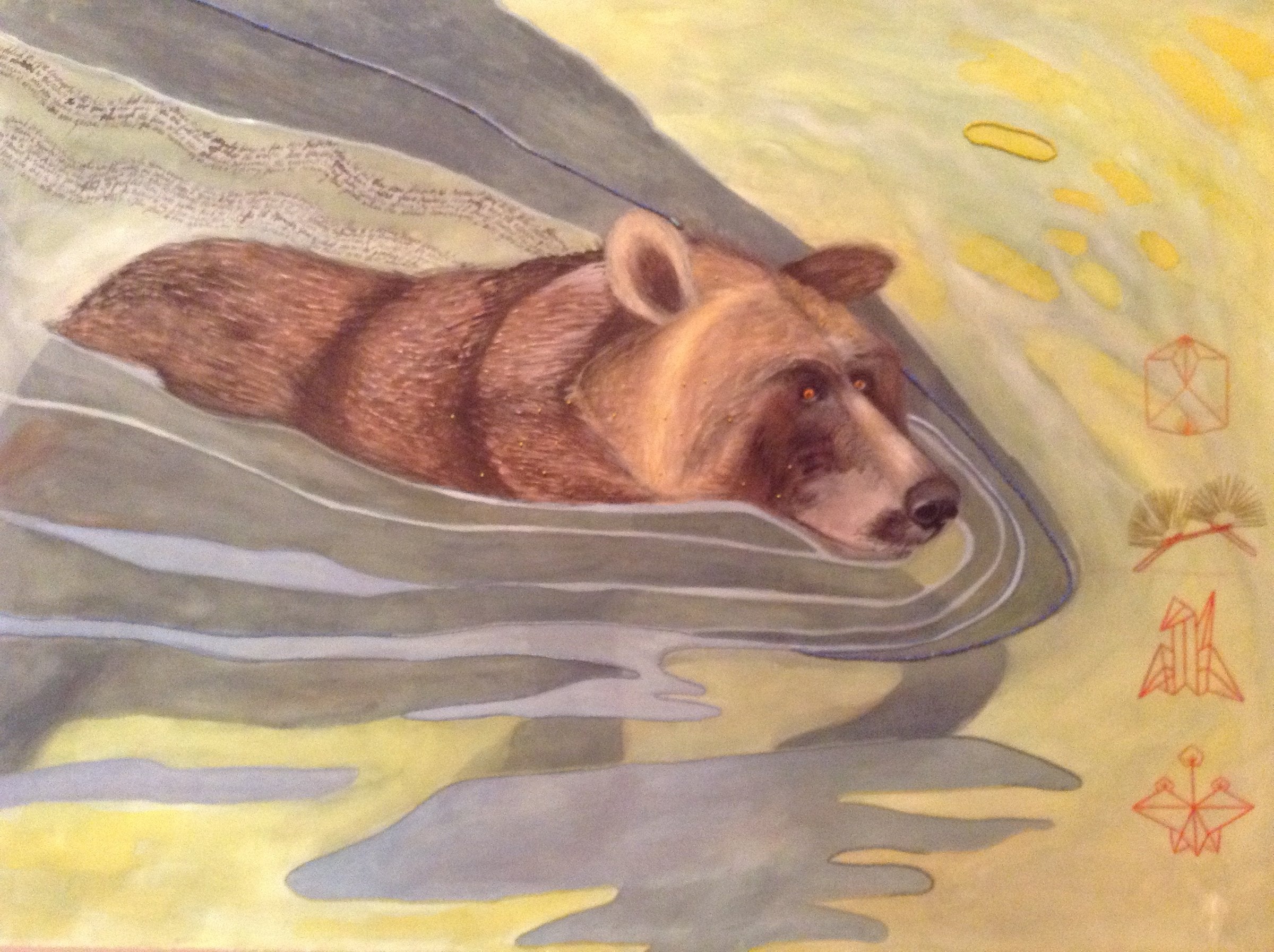 Swimming Bear