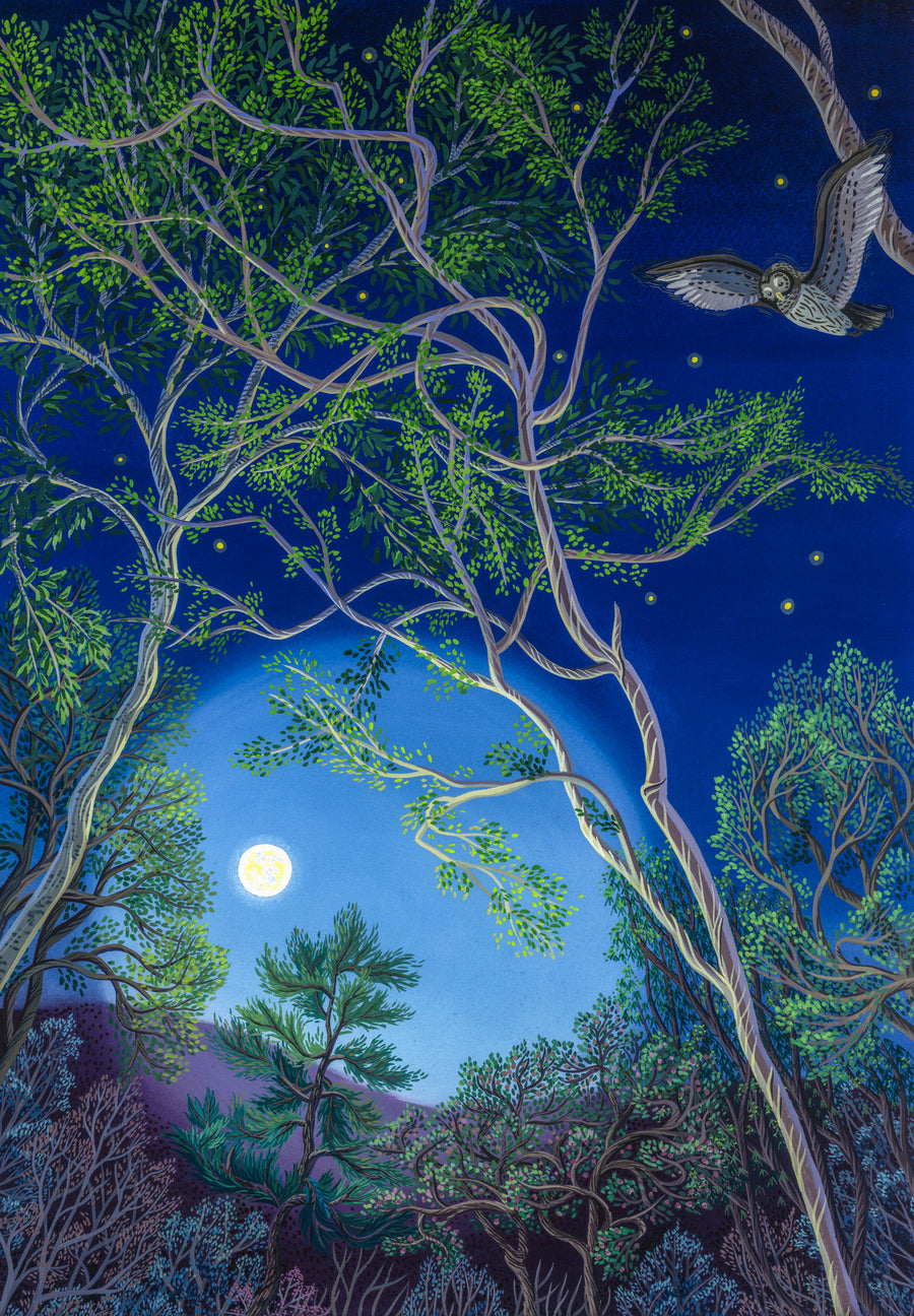 Circling the Moon