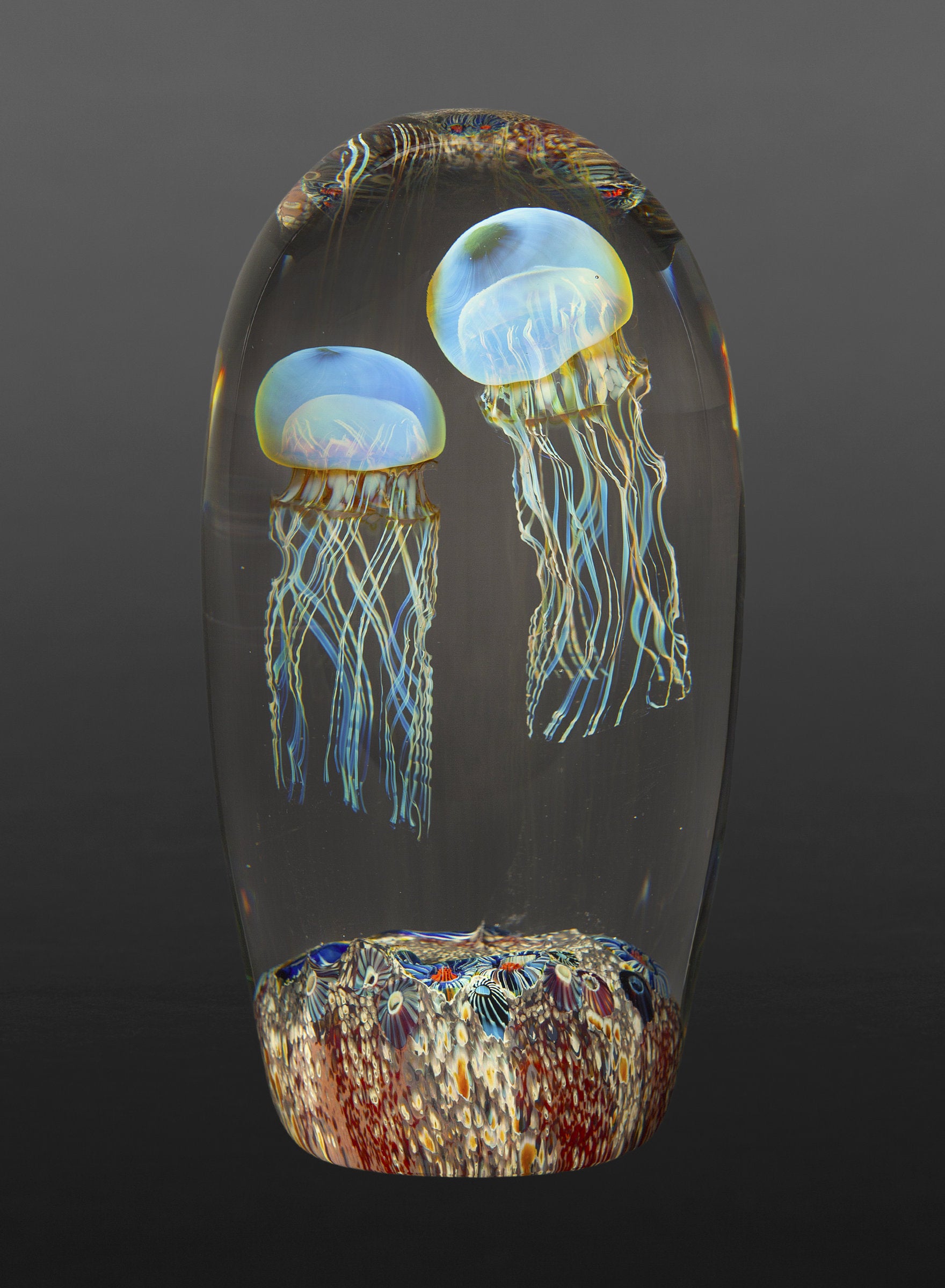 Moon Jellyfish Double