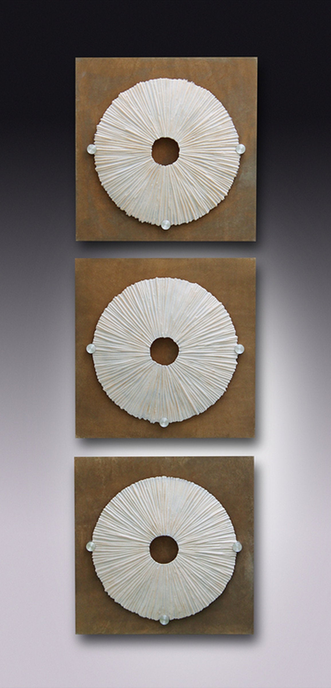 Sea Urchins
