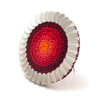 Salvinia Brooch