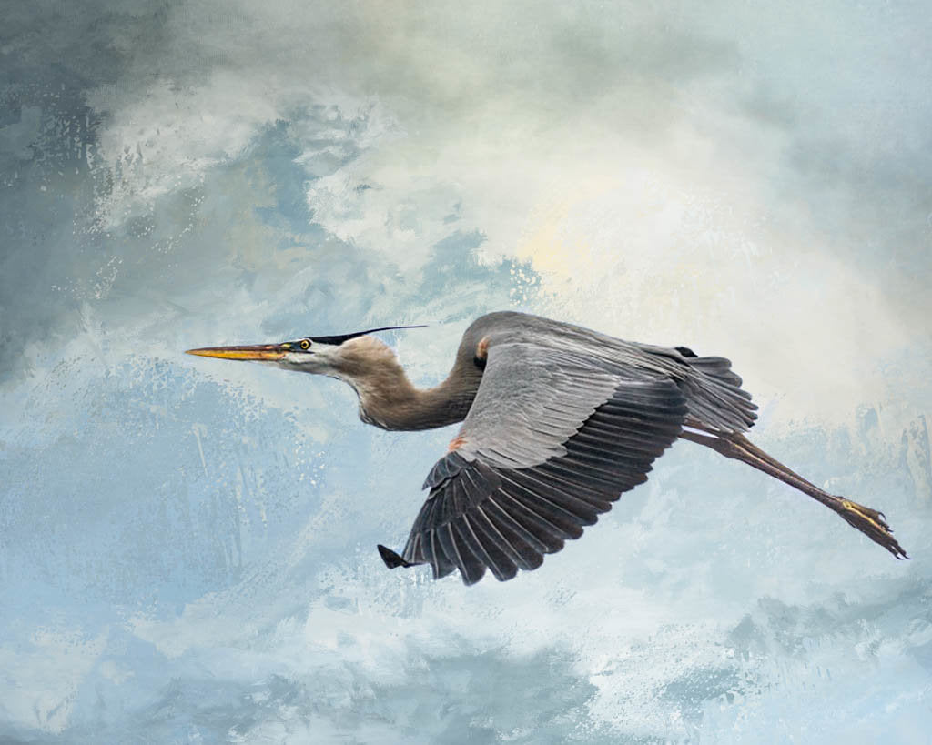 Great Blue Beyond