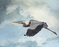Great Blue Beyond