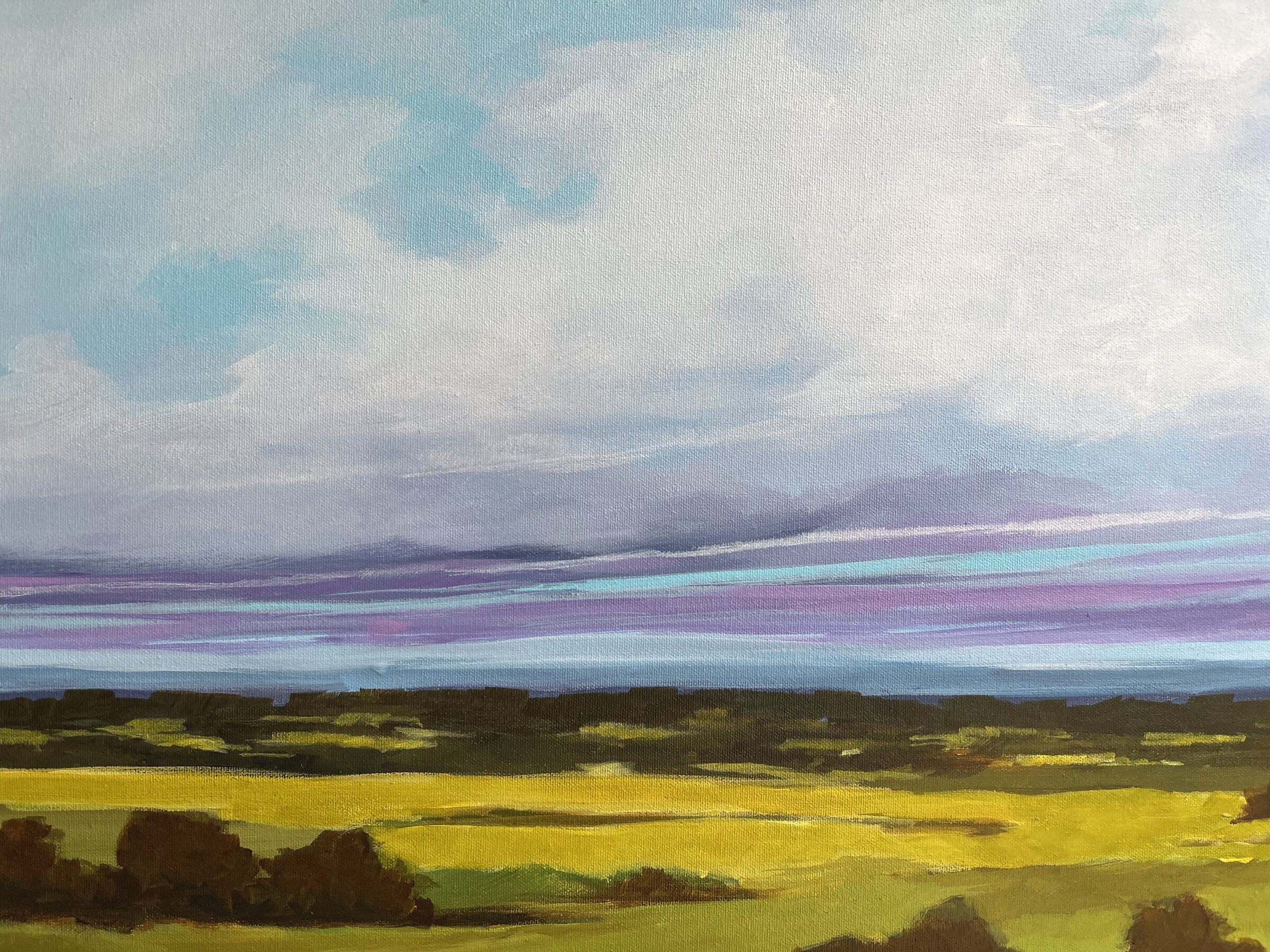 Distant Meadow