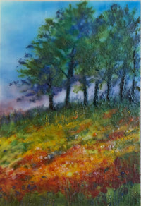 Summer Morning