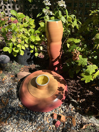 Avian Spa in Cardinal