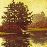 Hawk Creek