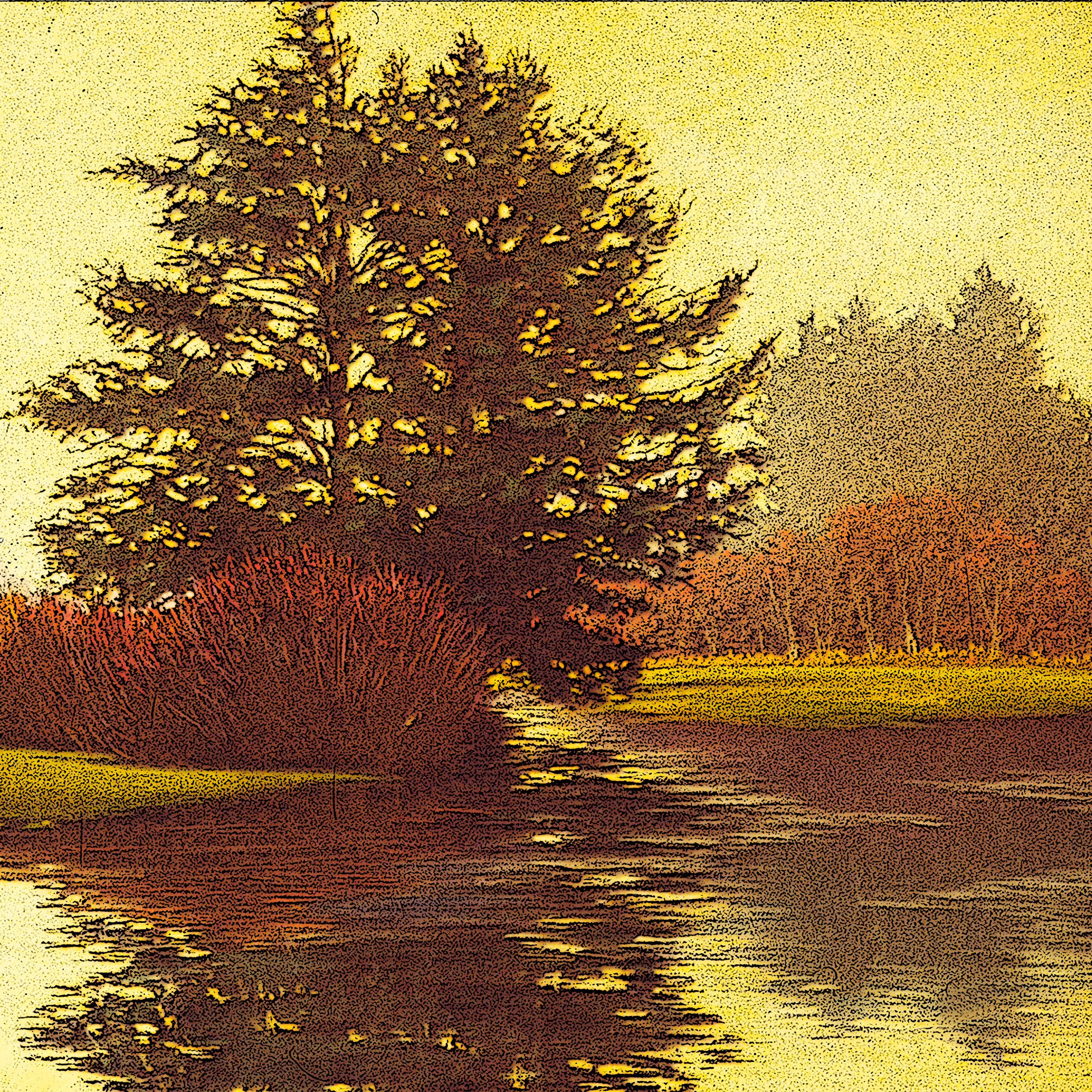 Hawk Creek