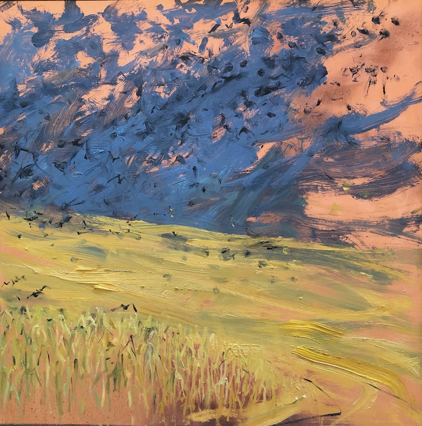 A Murder of Crows Ascending a Cornfield