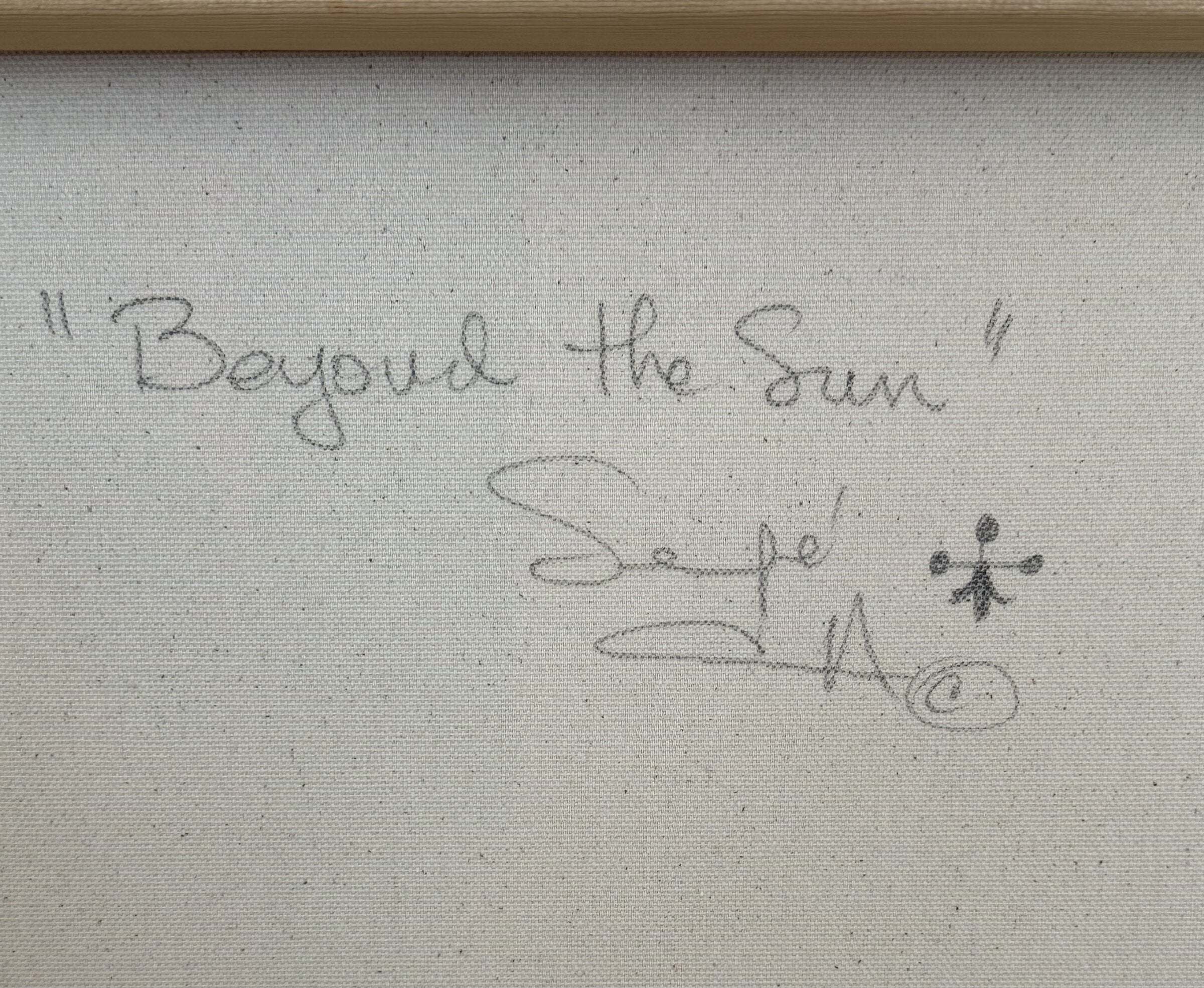 Beyond the Sun