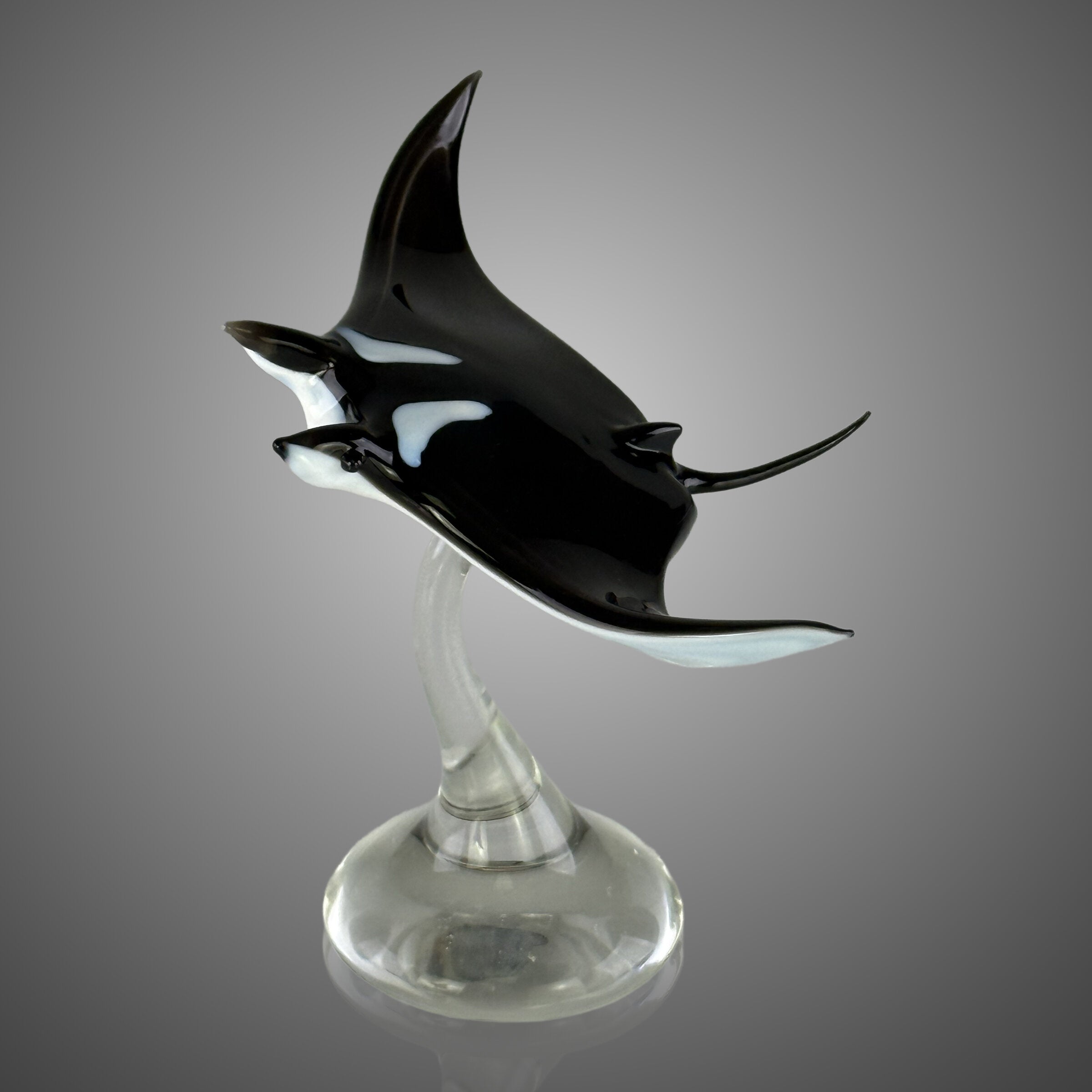 Manta Ray
