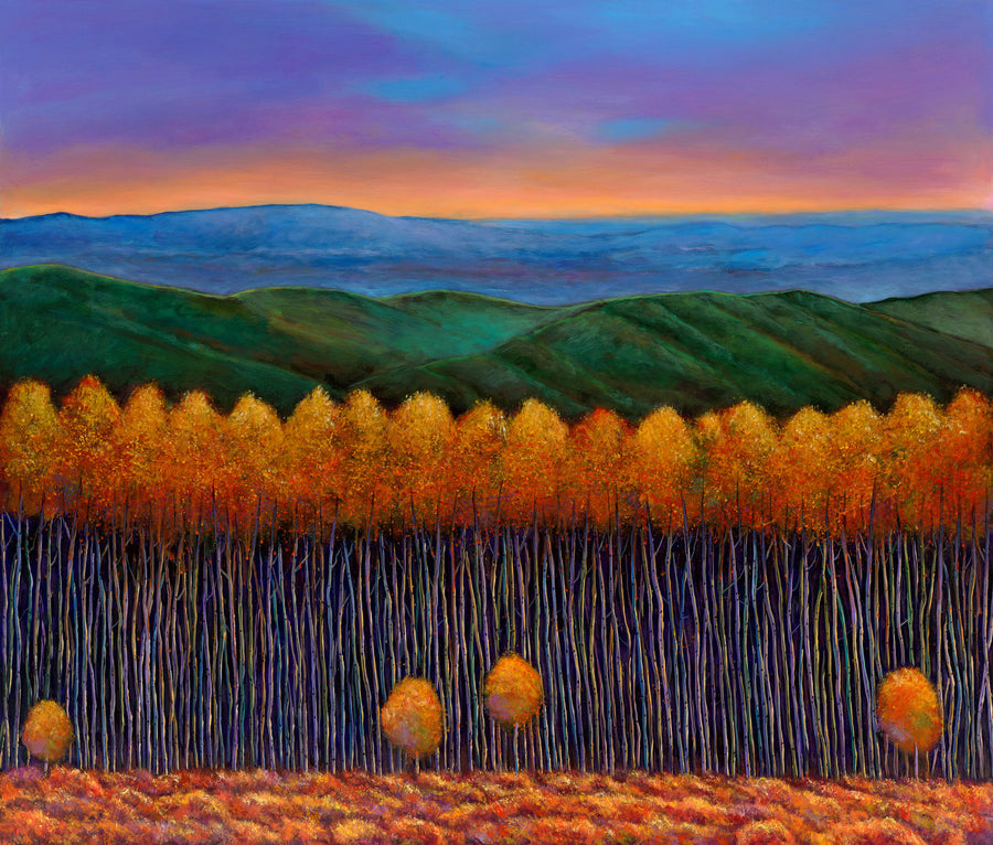 Aspen Perspective