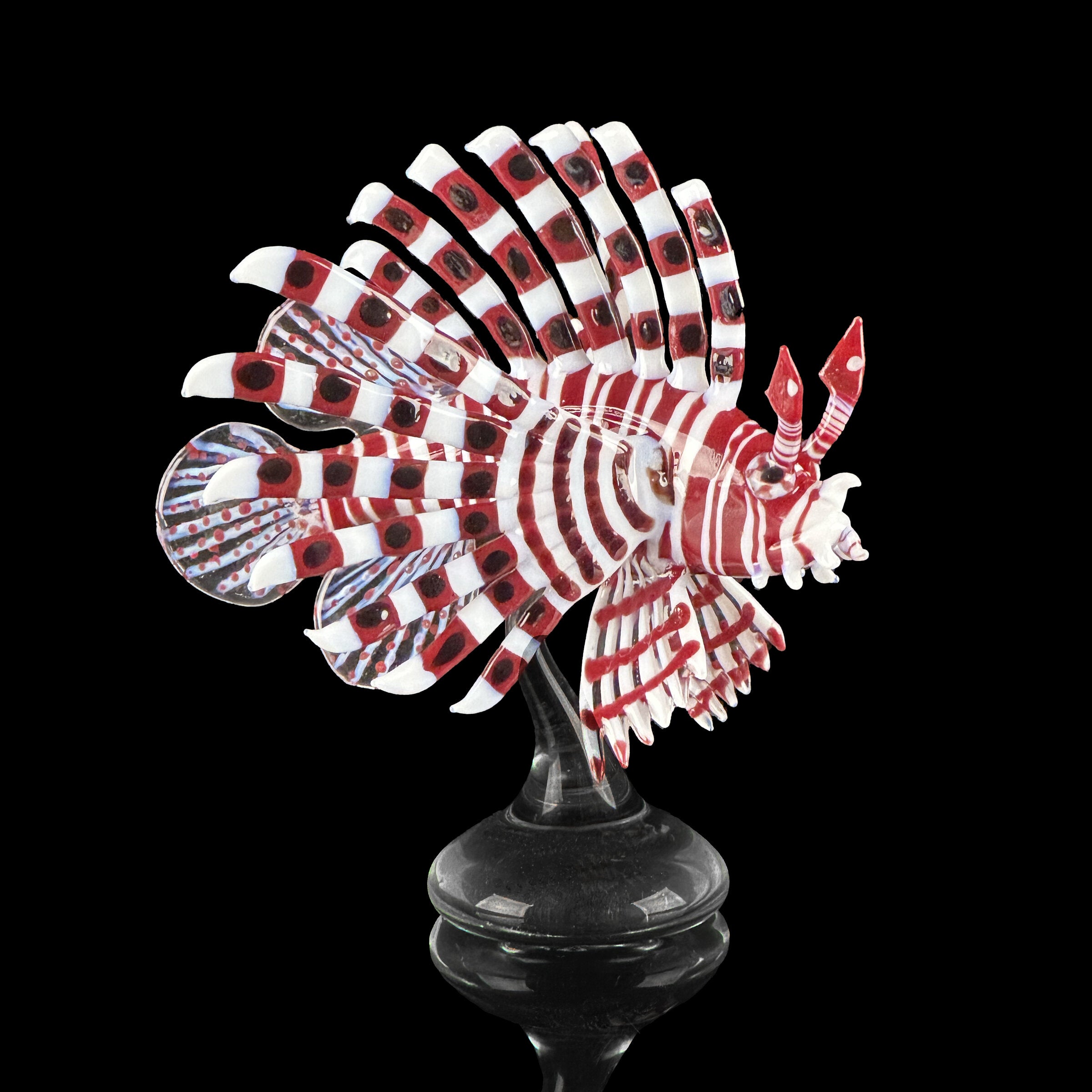 Red Lionfish