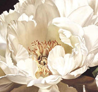 One White Peony