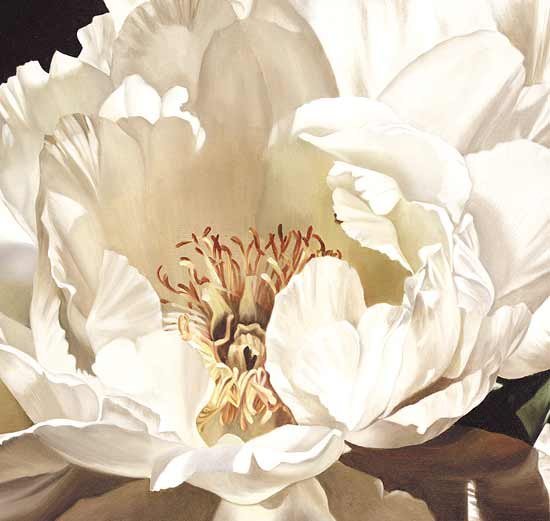 One White Peony