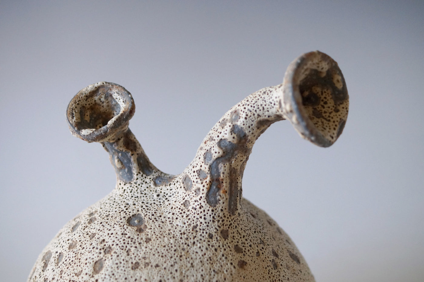 Coral Cluster Black Sea Porcelain Vessel