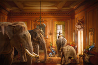 English Drawing Room Of the Early Georgian Period