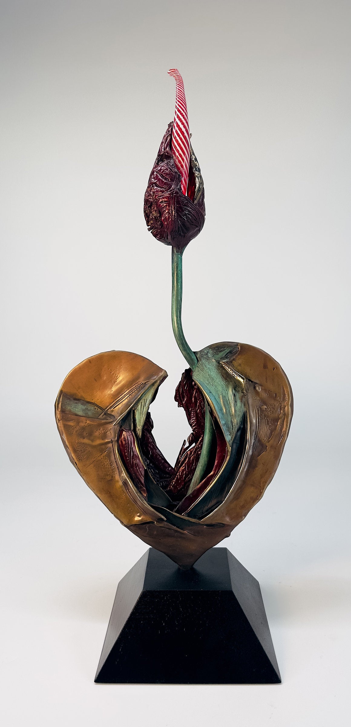 Illuminated Red Flower and Heart