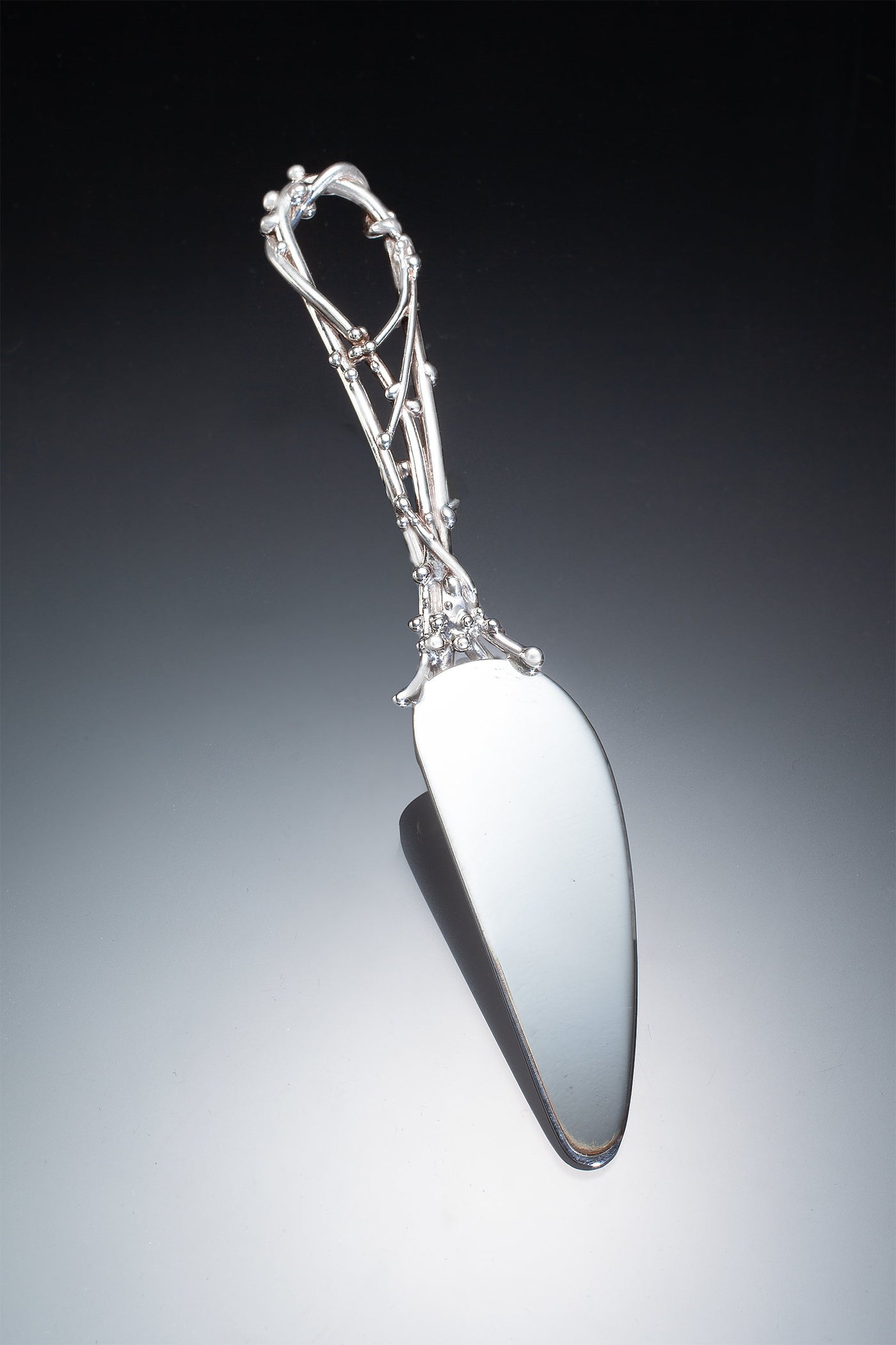 Winding Vine Spreader | Photo by Ralph Gabriner