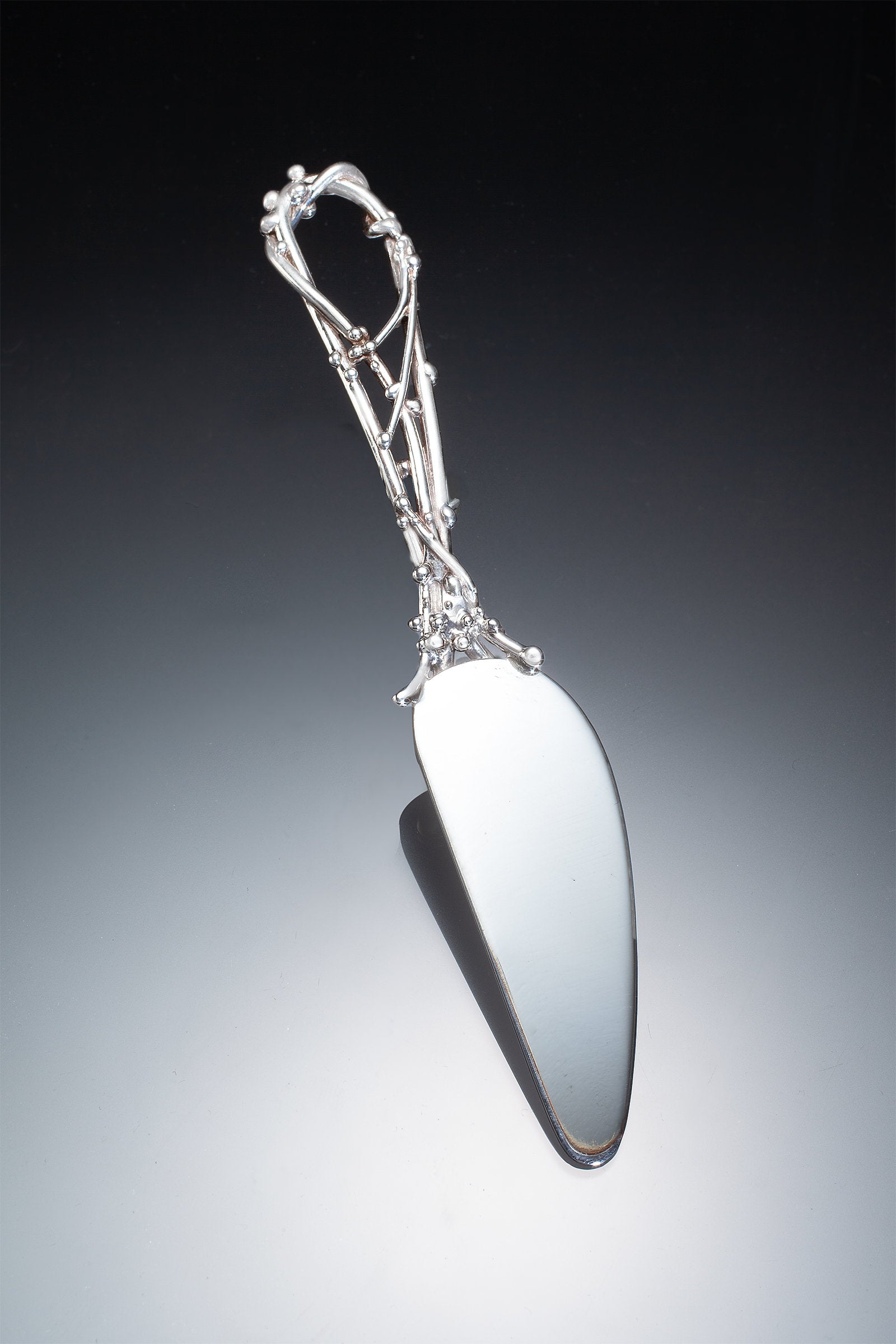 Winding Vine Spreader | Photo by Ralph Gabriner