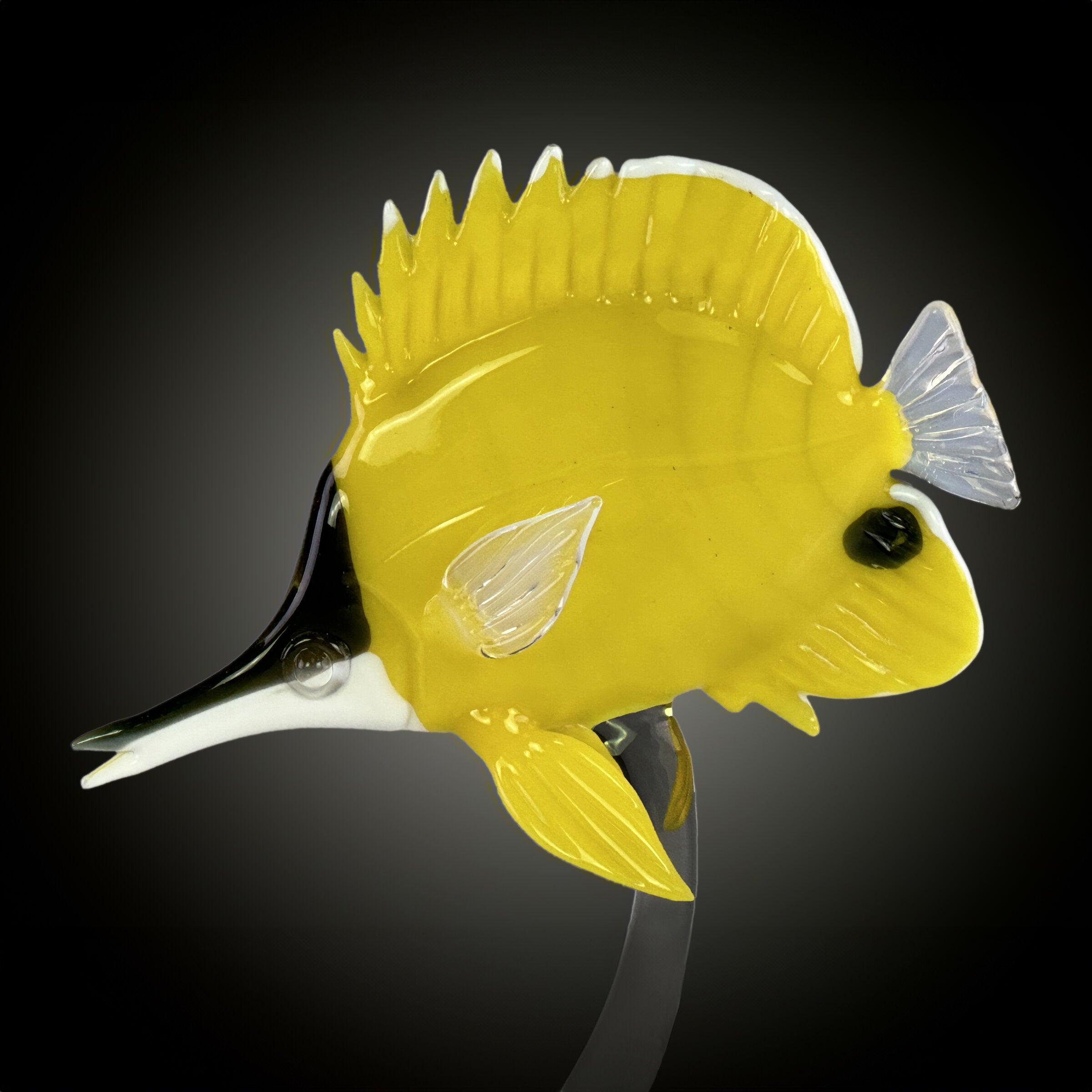 Forceps Nose Butterflyfish