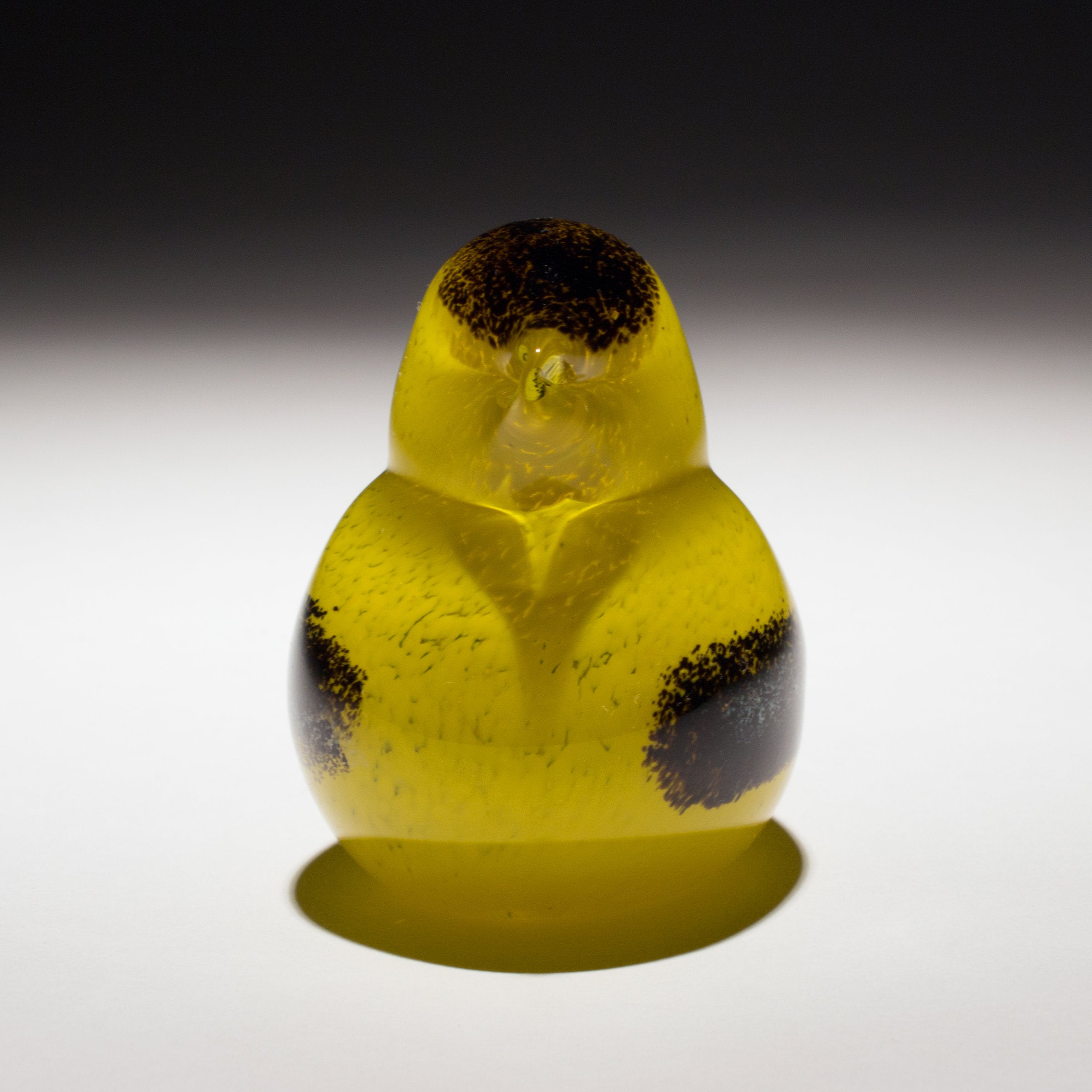 Dreamy Goldfinch