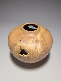 Survivor III