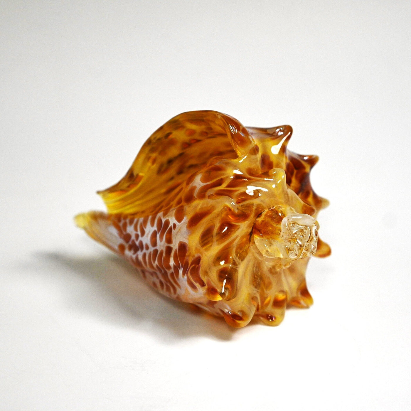 Small Cheetah Shell