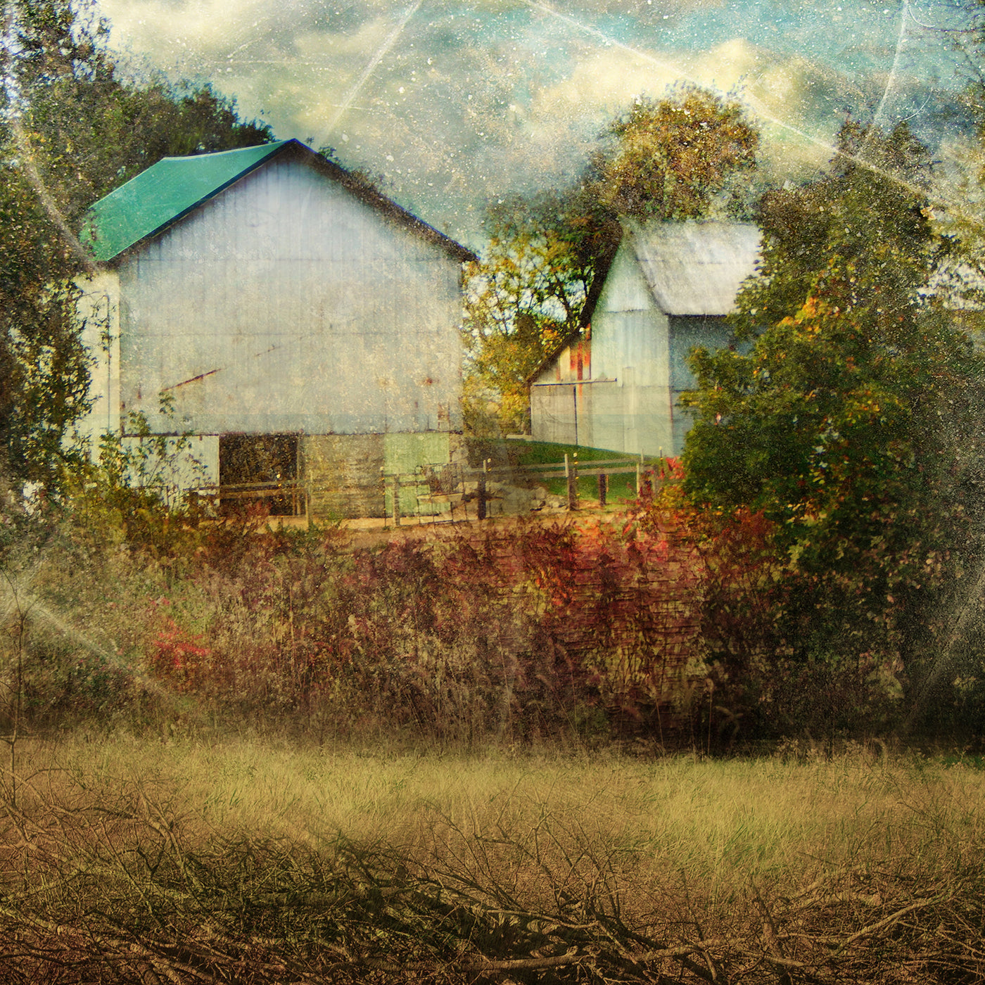 Day of Grasses