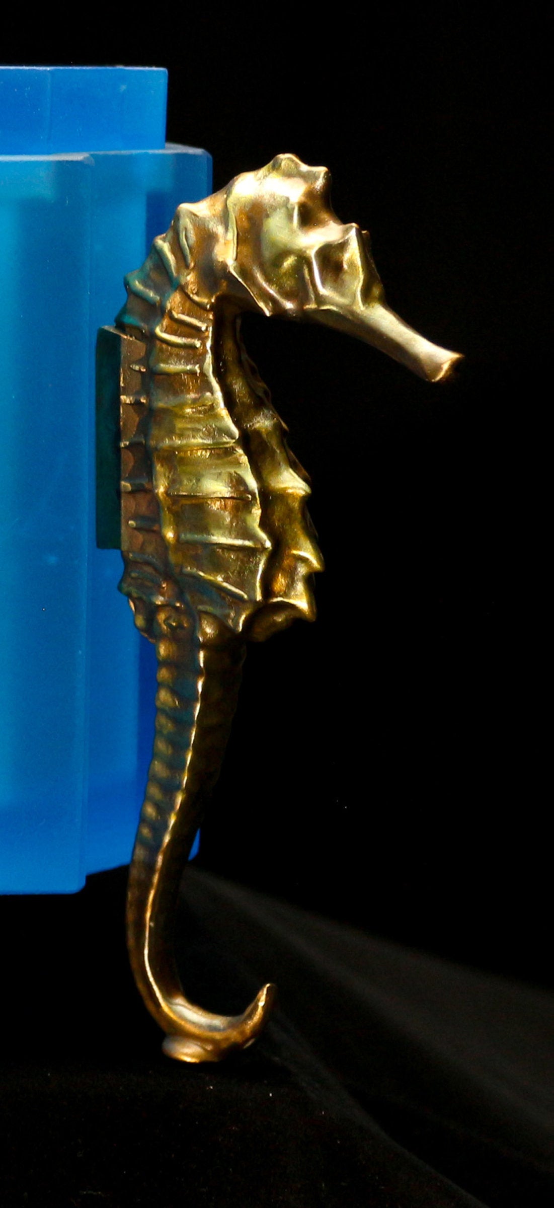 Seahorse Box