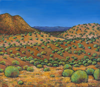 Desert Afternoon