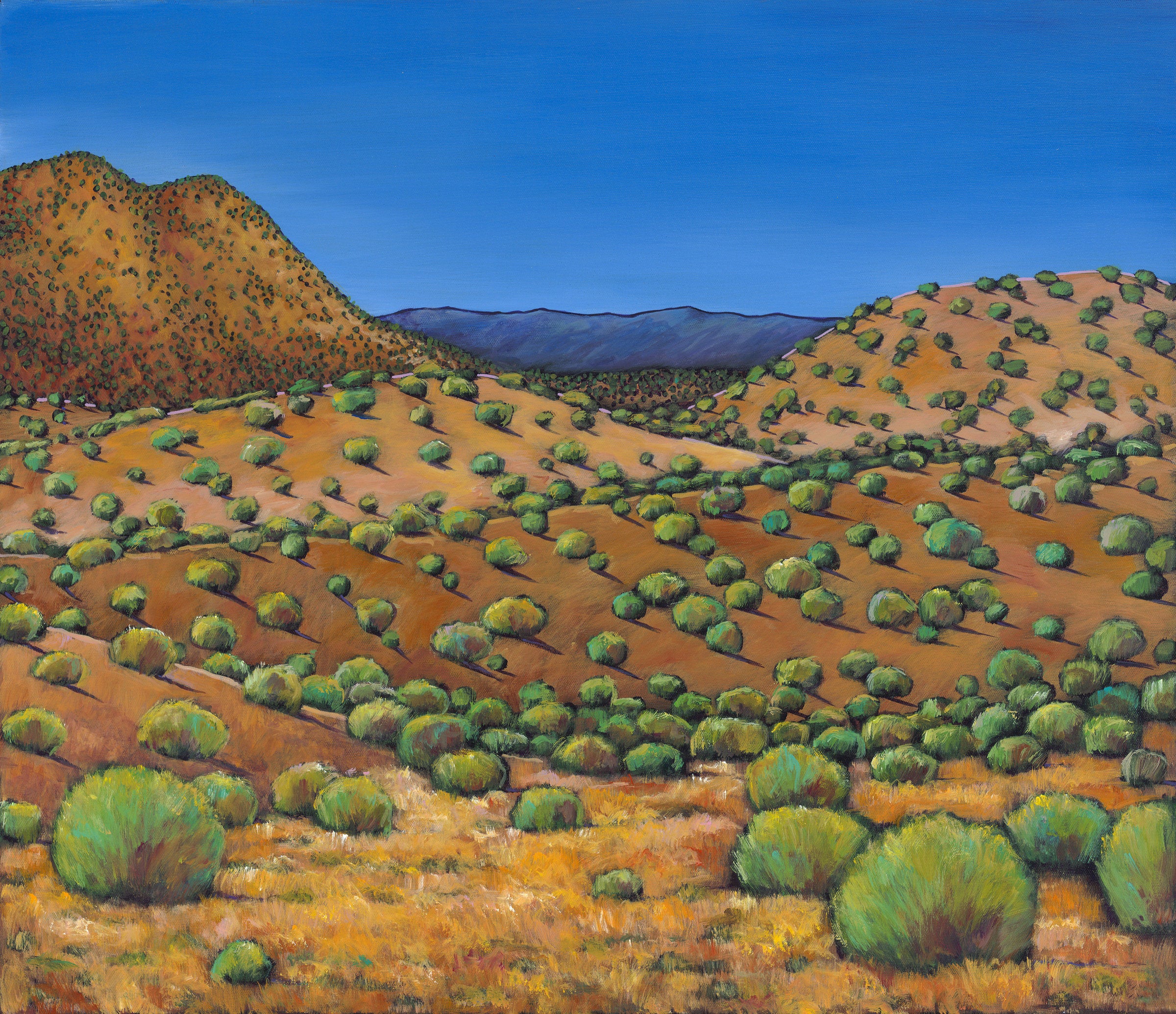 Desert Afternoon