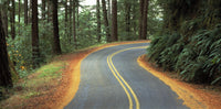 Mountain Road