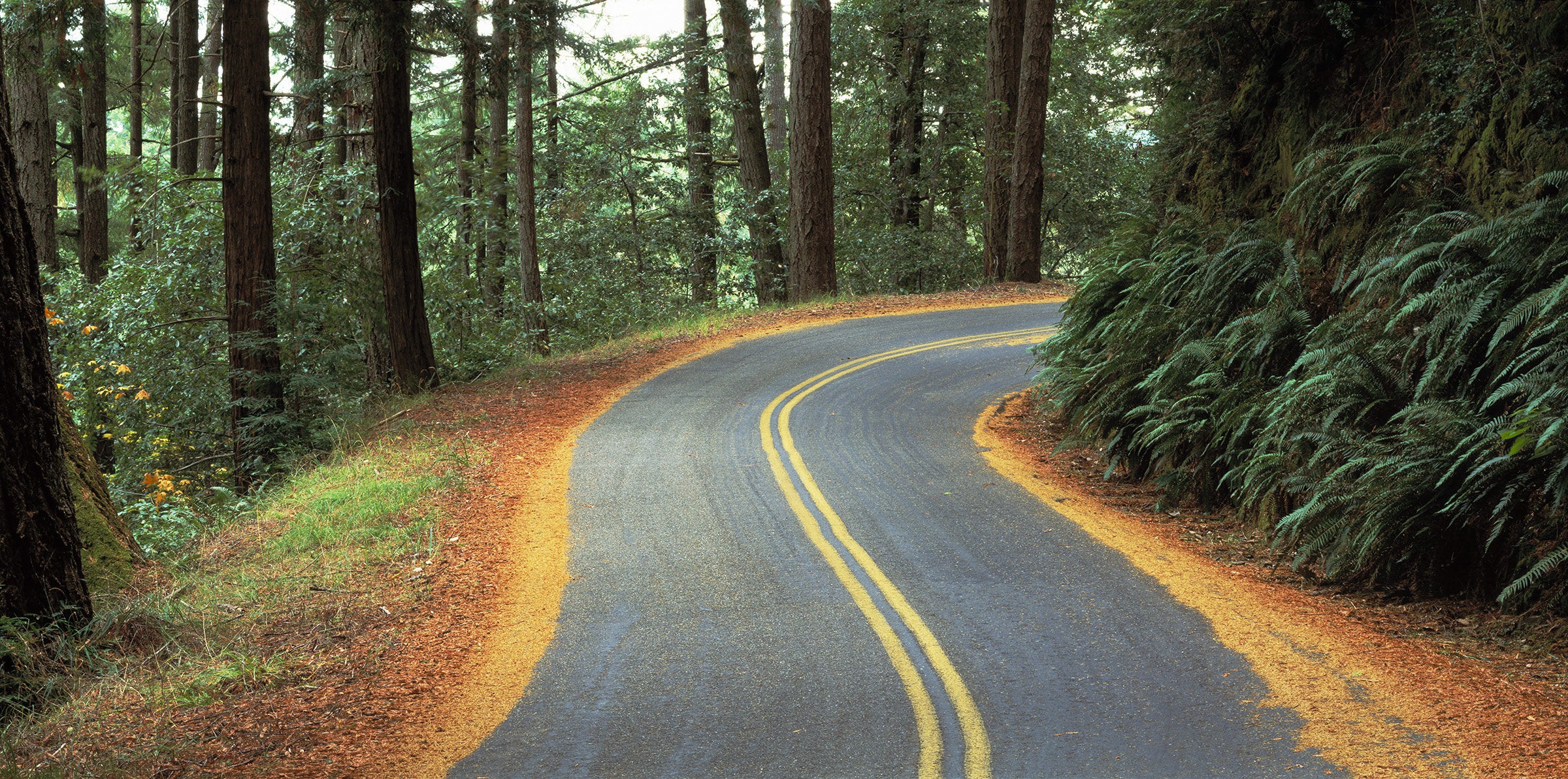 Mountain Road