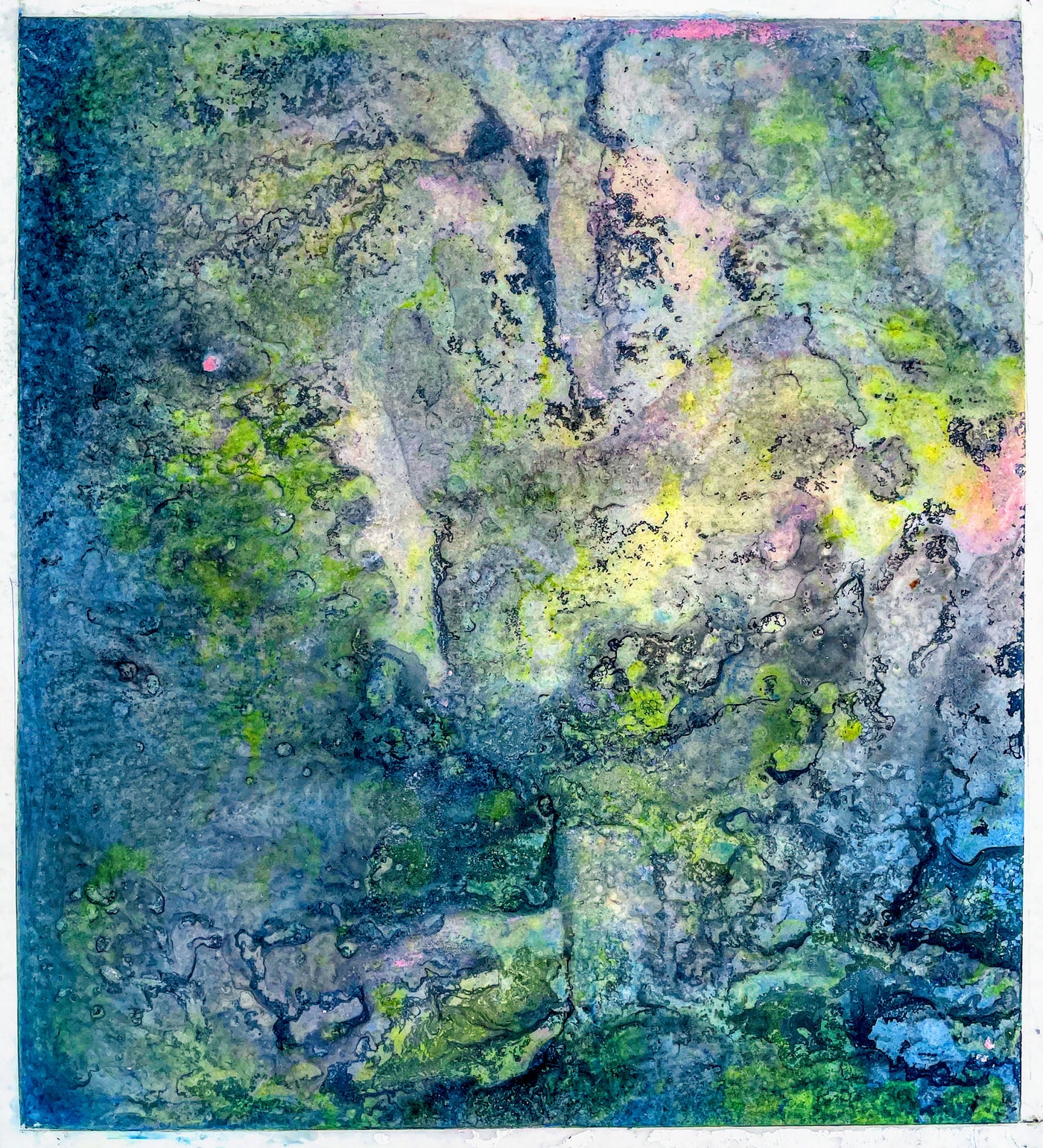 Corallium 35