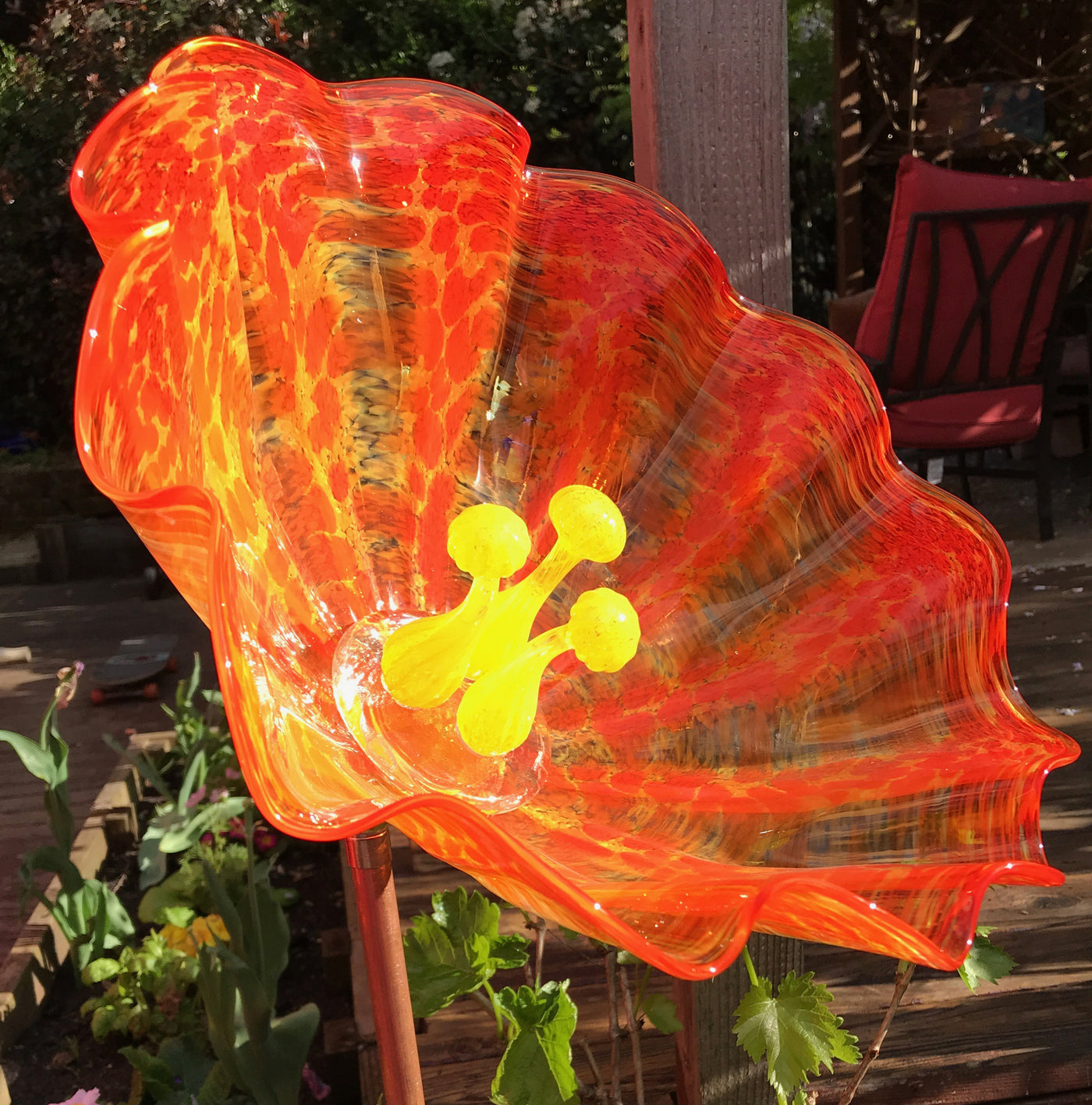 orange with yellow stamen