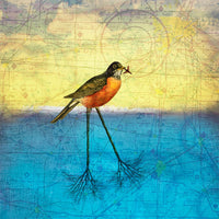 VernalEquinox