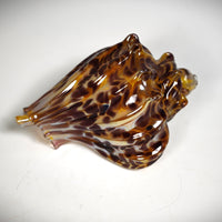 Small Leopard Shell