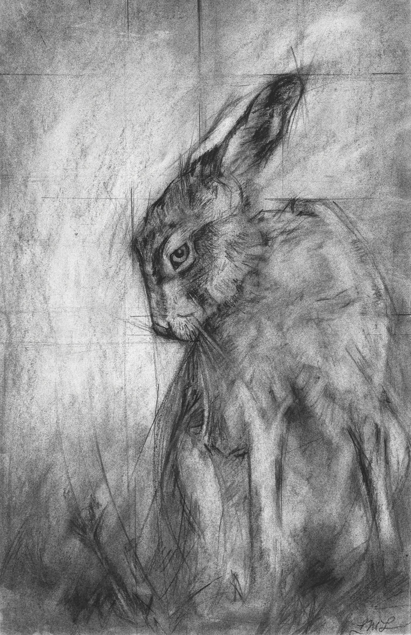 Hare