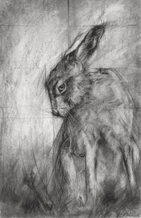 Hare