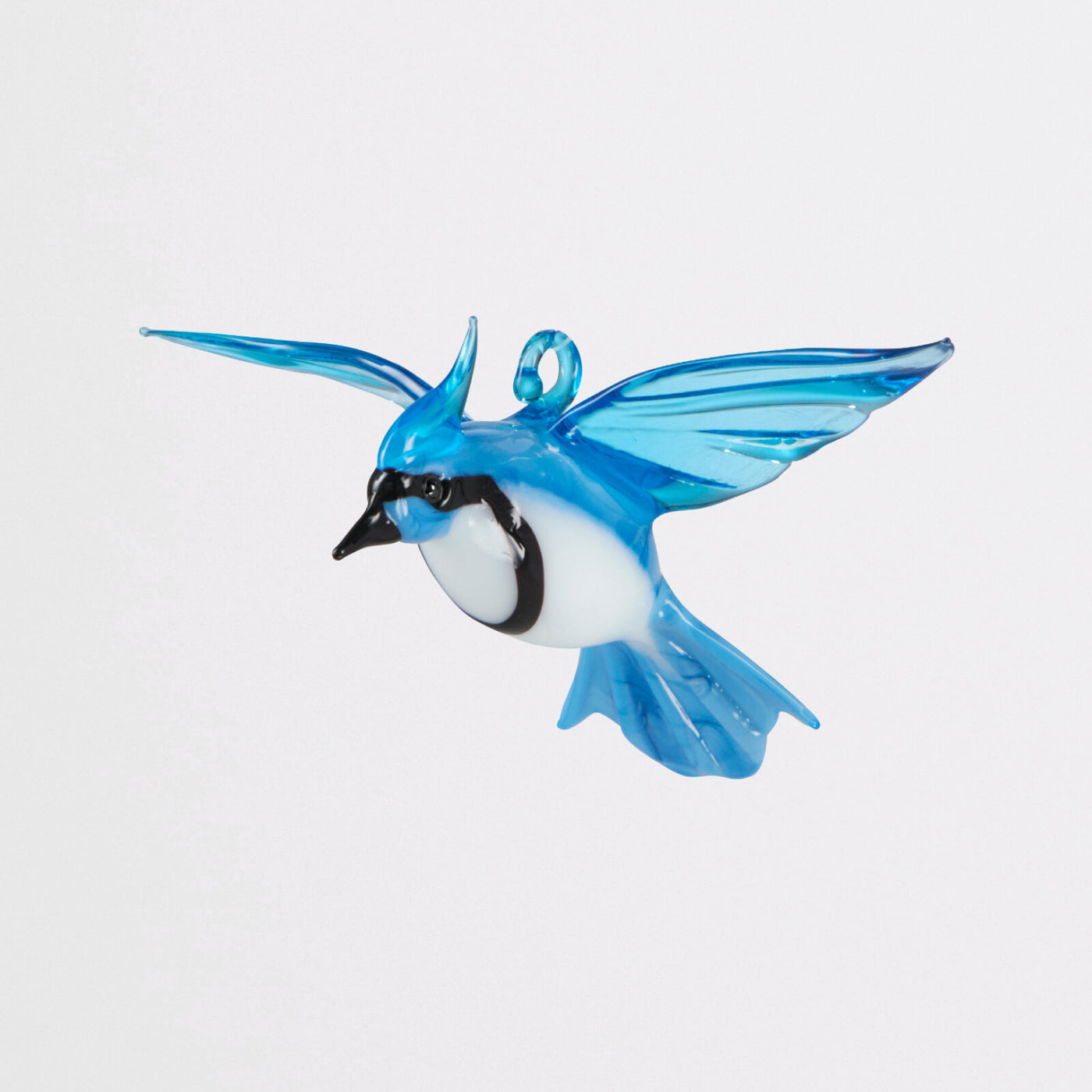 Soaring Blue Jay
