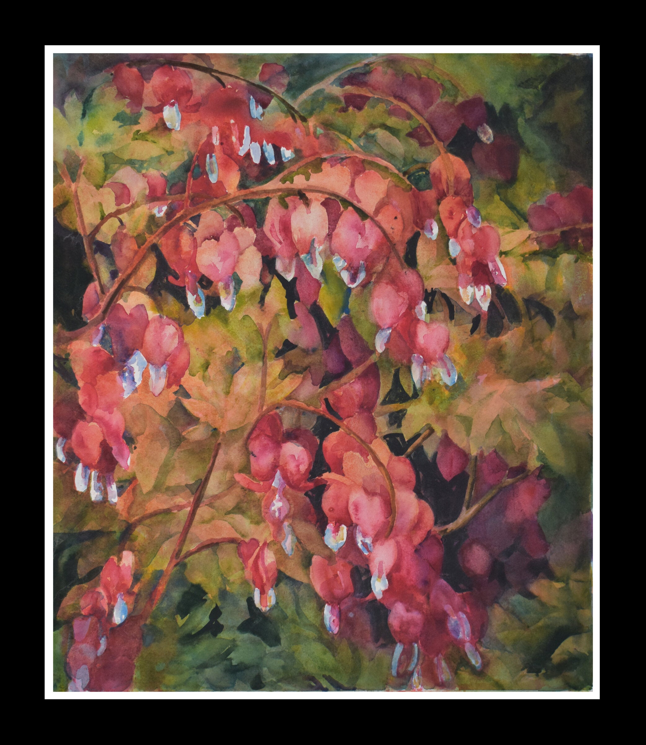 Among the Bleeding Heart